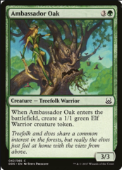 Ambassador Oak